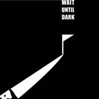 Hershey Area Playhouse Holds Auditions For WAIT UNTIL DARK 8/16-8/18 Video