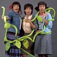 LITTLE SHOP OF HORRORS Runs 5/29-6/30 At The Robert G. Reim Theater In St. Louis Video