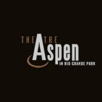 Theatre Aspen Announces After School Classes Video