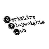 Socarides & Carr To Star In Reading Of THE BIRTHDAY BOY At Berkshire Playwrights Lab  Video