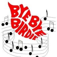 BYE BYE BIRDIE Comes To The Dayton Playhouse 6/27, 6/28