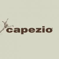 Arlene Shuler to Receive Capezio Award 9/22 At New York City Center Video