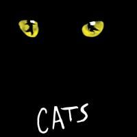 CATS Opens 9/9 At The Moonlight Amphitheatre Stage Video