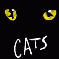 Broadway In Chicago Welcomes Back CATS At The Cadillac Palace Theatre 10/13-18 Video