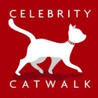 'Girl's Next Door' Co-star Bridget Marquardt Hosts 9th Annual Celebrity Catwalk At Ho Video