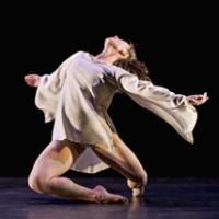 Elizabeth LaCause Named Executive Director Of Rioult 