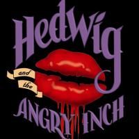 ATC Announces Season 25 With HEDWIG & THE ANGRY INCH Extension & More  Video