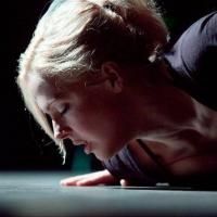 Storm Large's CRAZY ENOUGH Gets Extended At Portland Center Stage Through 6/28 Video