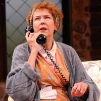 Photo Flash: The Shakespeare Theatre of New Jersey Presents NOISES OFF Video