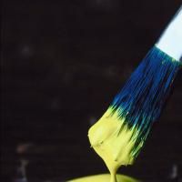 Carrollwood Cultural Center Hosts 1st CCC Student & Faculty Art Show 6/12-30