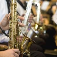 The Hillsborough County Visual Arts Alliance Holds its 2nd Annual Arts Exhibition At 