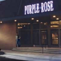 The Purple Rose Theatre Announces Summer Acting Class For Kids  Video