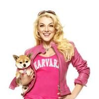 West End's LEGALLY BLONDE Begins Previews Tonight, 12/5 Video