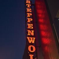 Polly Carl Set As Steppenwolf's Playwrights' Center Producing Artistic Director  Video