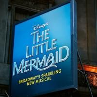 Drew Seeley to Join & Chelsea Morgan to Take Over THE LITTLE MERMAID as Eric and Arie Video
