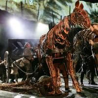 Photo Flash: WAR HORSE Continues 'Galloping' At New London Theatre