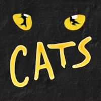 Palace Theatre to Hold Auditions for CATS on Sept. 26
