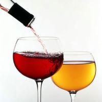 Teach and Taste Wine Workshops Begin 9/10 At The Carrollwood Cultural Center 