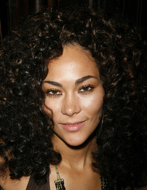 Photo Coverage: National Arts Club Honors Jones & LaChanze Image