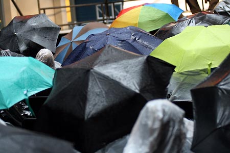Photo Coverage: Stars in the Alley Image