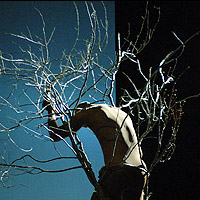 Clarke's GARDEN OF EARTHLY DELIGHTS Extends Run Until 3/1