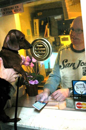 Photo Coverage: Hound Dog Day at Dog Sees God Image