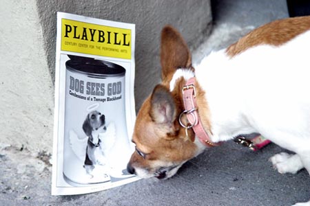Photo Coverage: Hound Dog Day at Dog Sees God Image