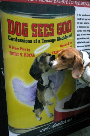 Photo Coverage: Hound Dog Day at Dog Sees God Image