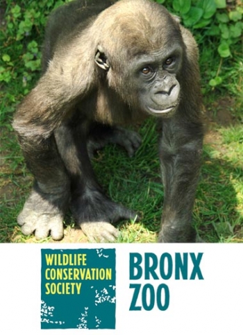 Win Tickets and more from Madagascar! at the Bronx Zoo Video