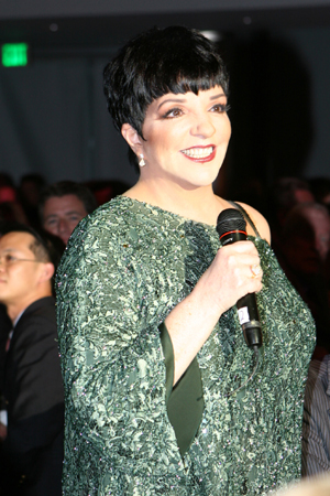 Photo Coverage: Liza Minnelli Honored by Actors' Fund Image