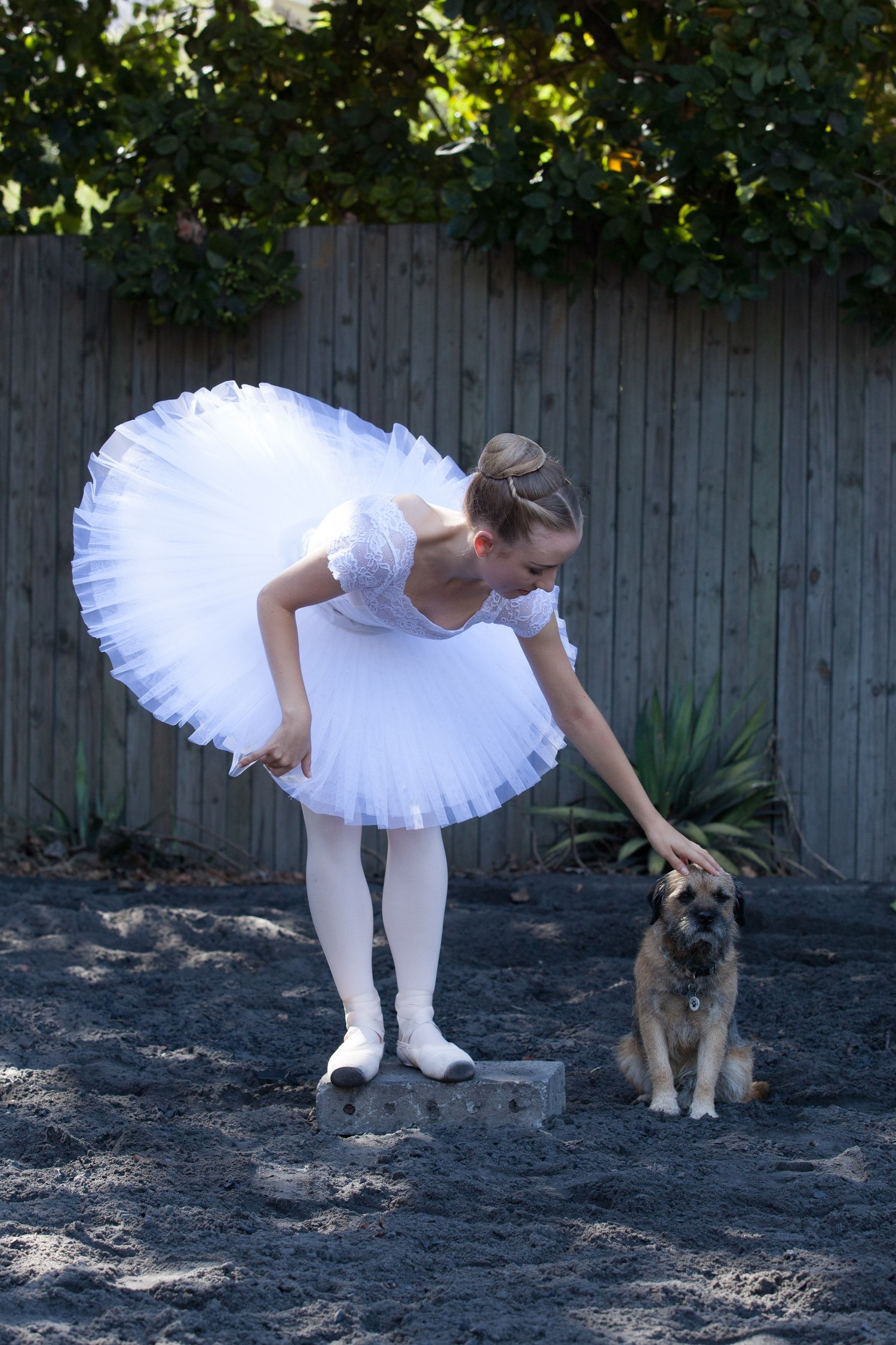 Annual DANCERS LOVE DOGS Onstage at Artscape this November Image