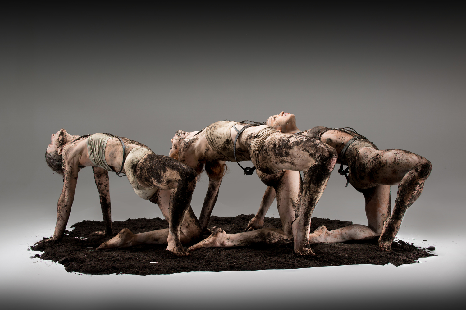 Eryc Taylor Dance Workshop's EARTH Addresses Global Warming Image