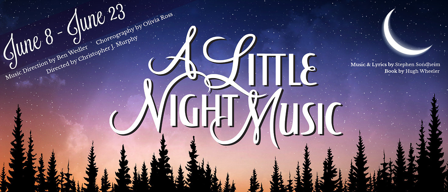 Review: A LITTLE NIGHT MUSIC at ARENA DINNER THEATRE 