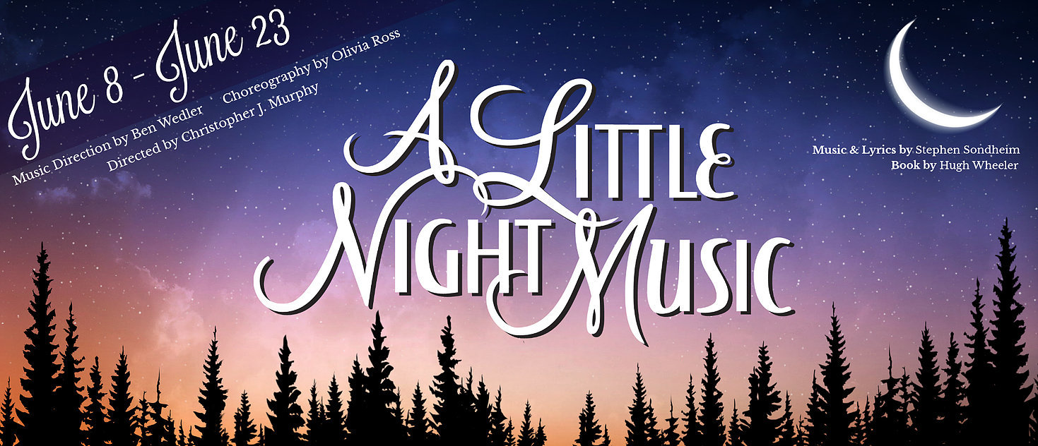 Review: A LITTLE NIGHT MUSIC at ARENA DINNER THEATRE Image