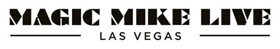 MAGIC MIKE LIVE Announces Holiday Performance Schedule Image