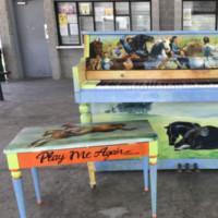 Photo Flash: Public Piano Debuts In Wills Park In Alpharetta On July 15th Photo