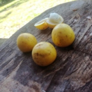 Costa Rica offers a world of other-worldly fruits waiting to be tasted