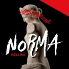 Singers Invited to Audition for New Jersey Association Of Verismo Opera Chorus's NORM Video
