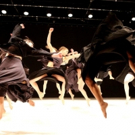 Various Dance Schools From Around the Country Perform in a Night Filled With VERTIGO 
