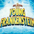 Lightning Bolt Productions To Present YOUNG FRANKENSTEIN - THE MEL BROOKS MUSICAL Photo