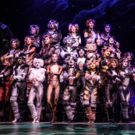 Review Roundup: CATS on Tour at the Pantages - Did the Critics Take Away a Positive M Video