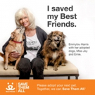 Musical legend Emmylou Harris lends her voice to shelter dogs Video