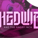 HEWIG AND THE ANGRY INCH Comes to the Sharadin Bigler Theatre Photo