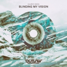 HARRISON Releases Inaugural Future Bass Solo Record BLINDING MY VISION Photo