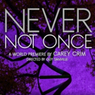Purple Rose Theatre Opens NEVER NOT ONCE This Month Photo