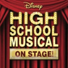 Disney And Nickelodeon Star Lane Napper To Direct HIGH SCHOOL MUSICAL At Axelrod PAC Photo