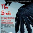 THE BIRDS Opens Tomorrow at Carpenter Square Theatre Video
