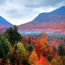 PBS and BBC Announce AUTUMNWATCH-NEW ENGLAND Photo