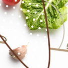  Farm-To-Plate Dining Now Open At Yagan Square