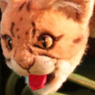 The Rainforest Comes Alive At The Center For Puppetry Arts